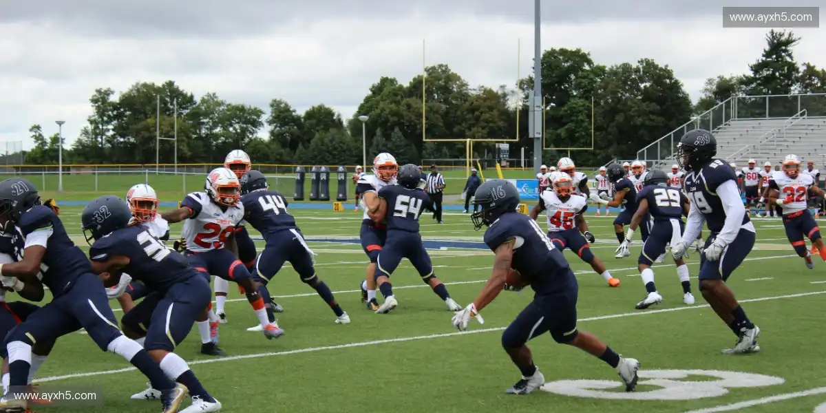 🏟️ 球迷声浪震天动地，气氛燃到极致，热血共振全场！🔥